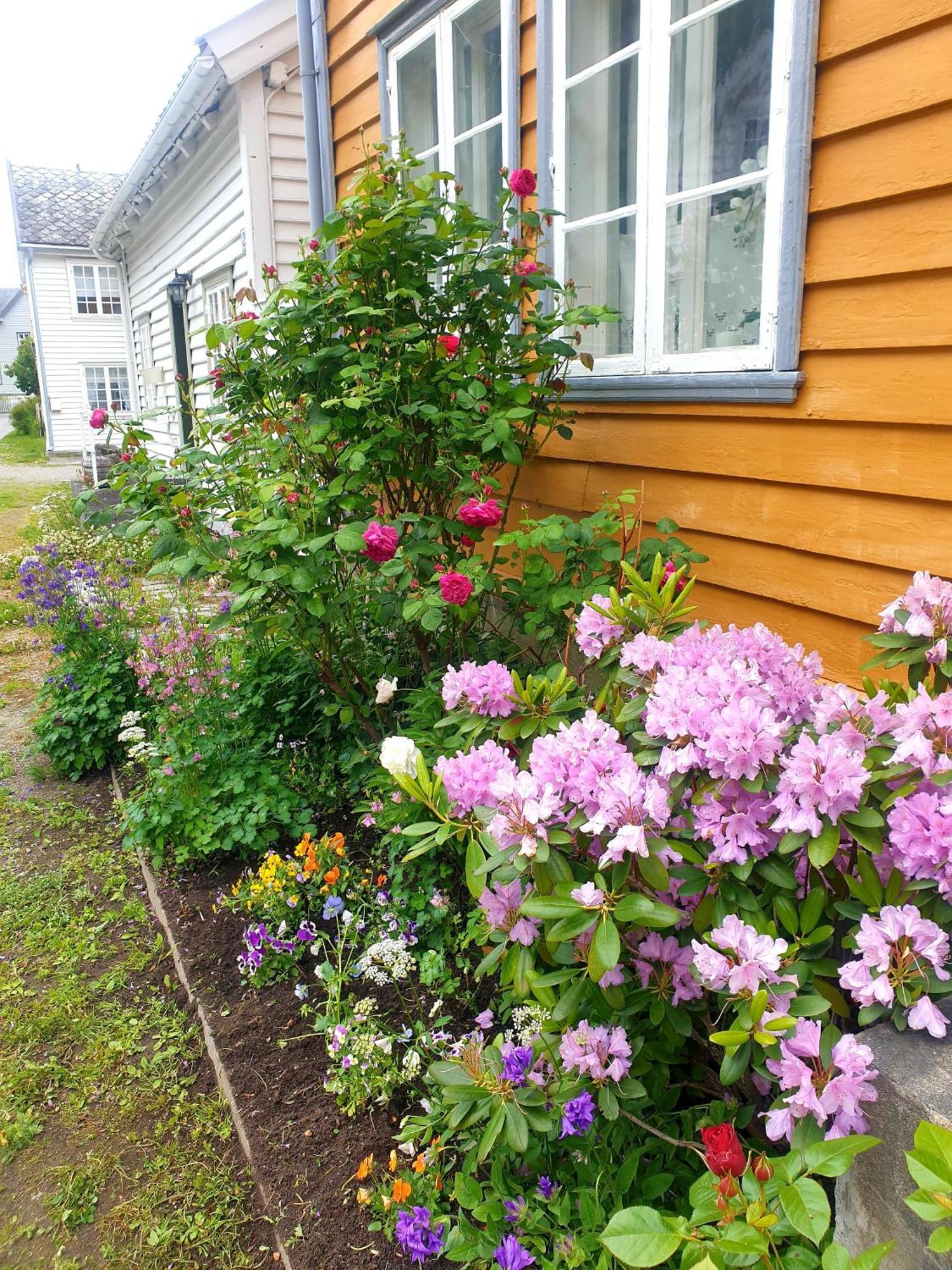 Kvammehuset Pa Gamle Laerdalsoyri Villa Exterior photo